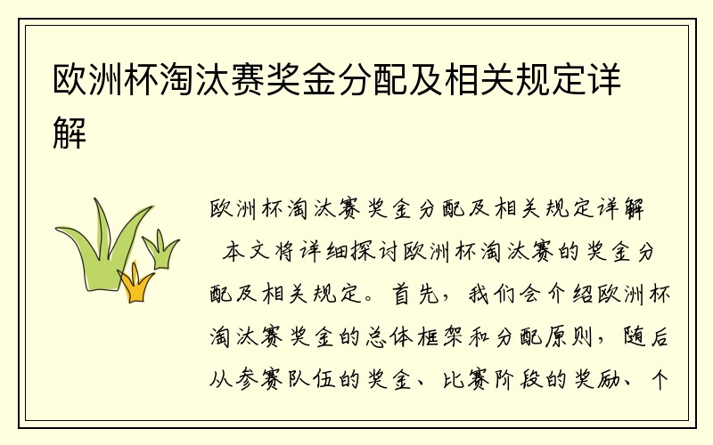 欧洲杯淘汰赛奖金分配及相关规定详解